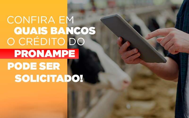 Confira Em Quais Bancos O Credito Pronampe Ja Pode Ser Solicitado